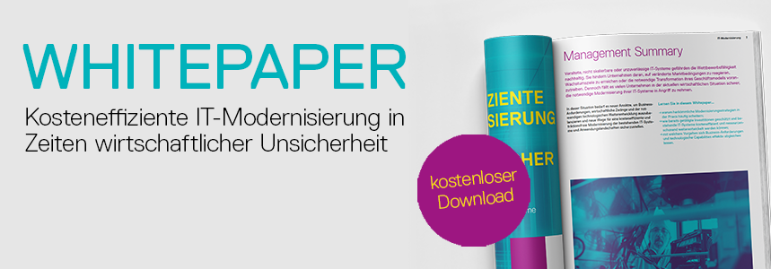 IT-Modernisierung Whitepaper Banner V3